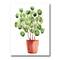 Designart - Chinese Money Plant In Pot - Traditional Canvas Wall Art Print